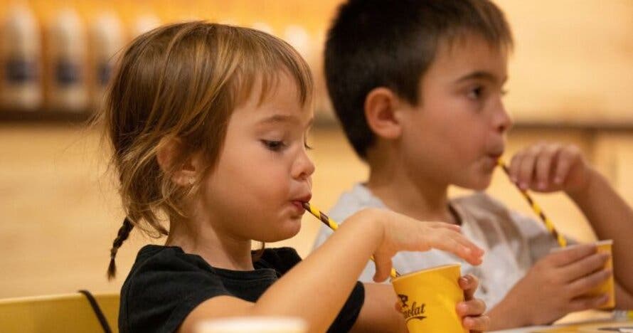Visita Fàbrica Cacaolat: experiencia interactiva para toda la familia