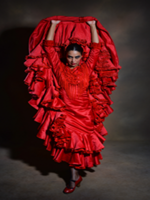 Inspiración - Teatro Flamenco Barcelona