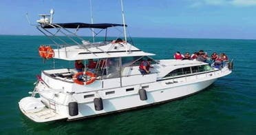 ISLAS PALOMINO (Paseos en Yate y nado con Lobos Marinos)