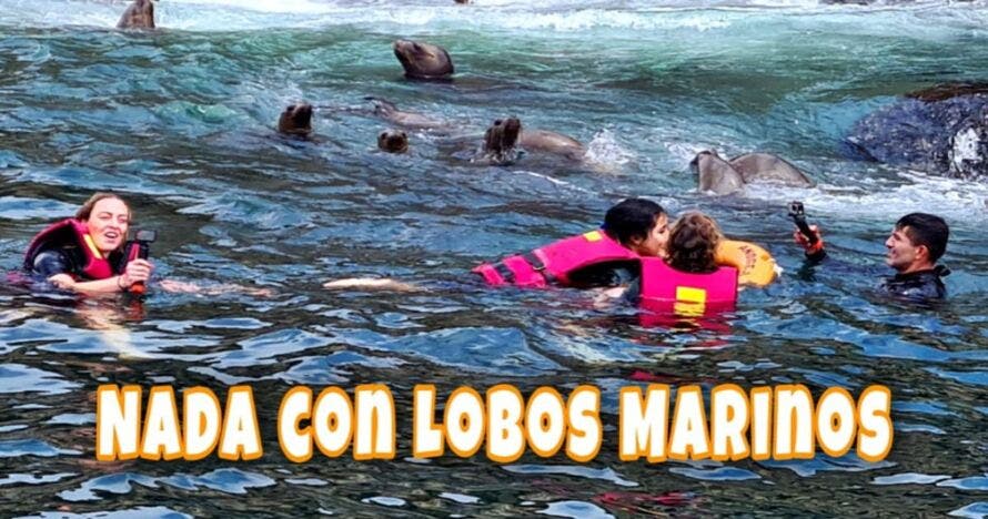 ISLAS PALOMINO (Paseos en Yate y nado con Lobos Marinos)
