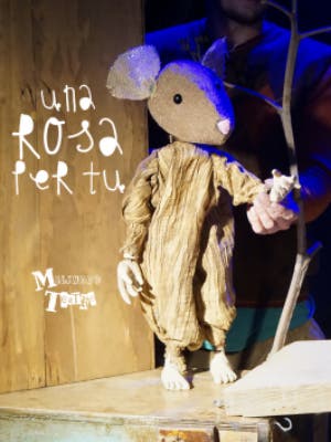 Una rosa per tu