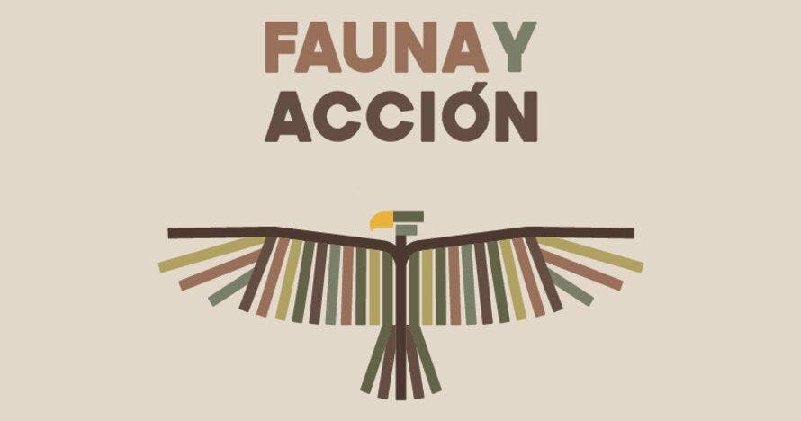 Fauna y Acción: descubre, toca e interactúa con animales asombrosos
