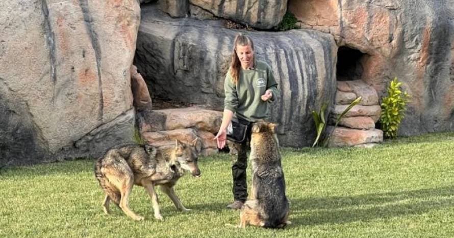 Fauna y Acción: descubre, toca e interactúa con animales asombrosos