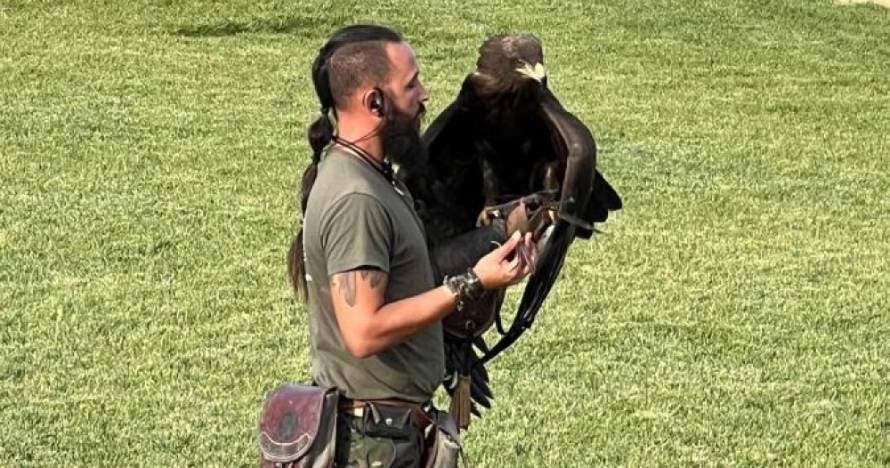 Fauna y Acción: descubre, toca e interactúa con animales asombrosos