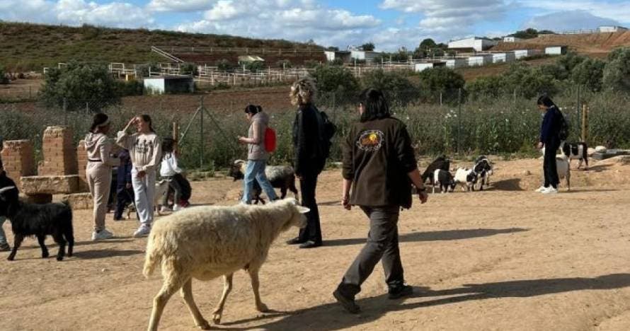Fauna y Acción: descubre, toca e interactúa con animales asombrosos