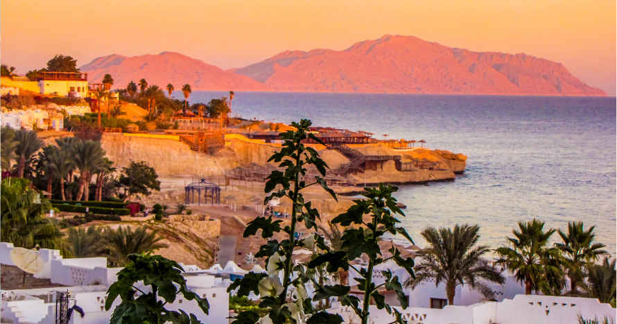 Paseo en caballo por Sharm el Sheik