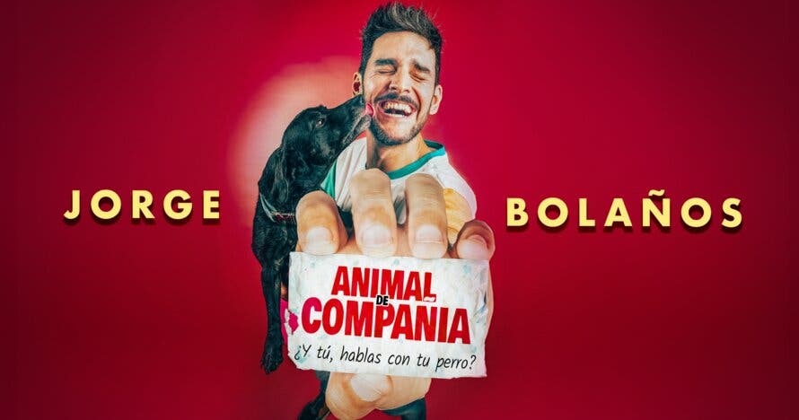 Animal de compañía