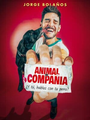 Animal de compañía