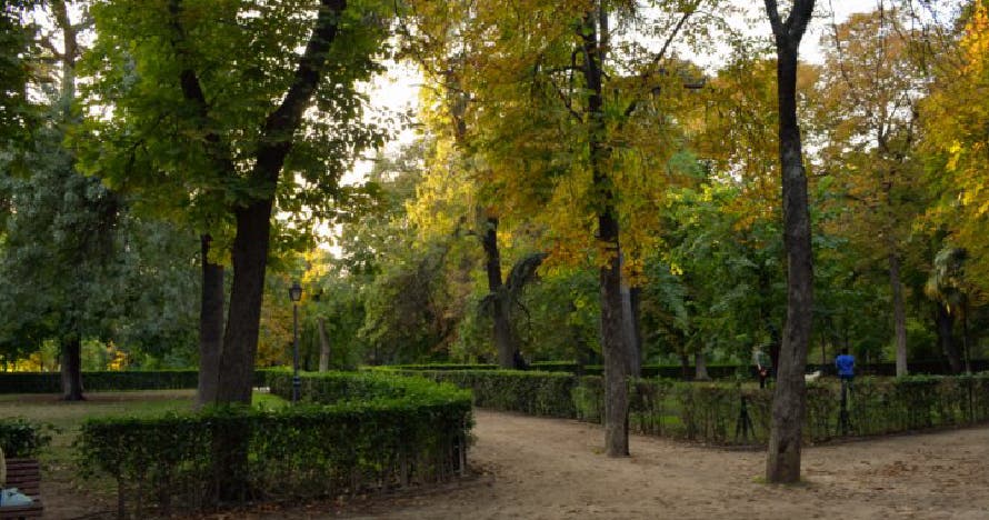 El Parque del Retiro: secretos e historia