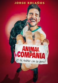 Animal de Compañía