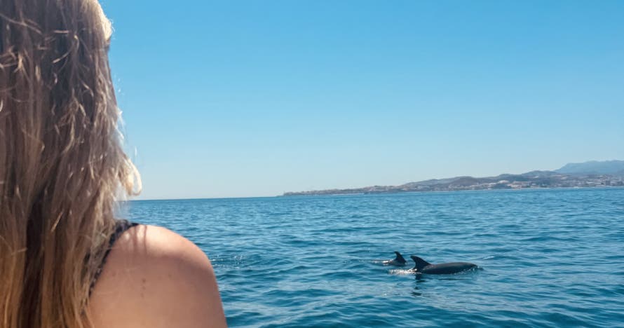 Excursiones en barco