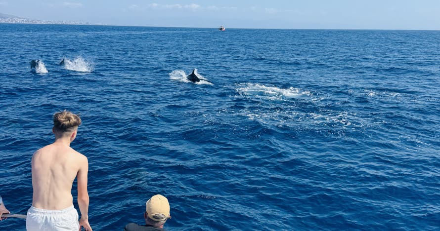 Lu Sea Tour