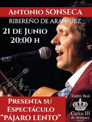 Antonio Sonseca: Pájaro lento