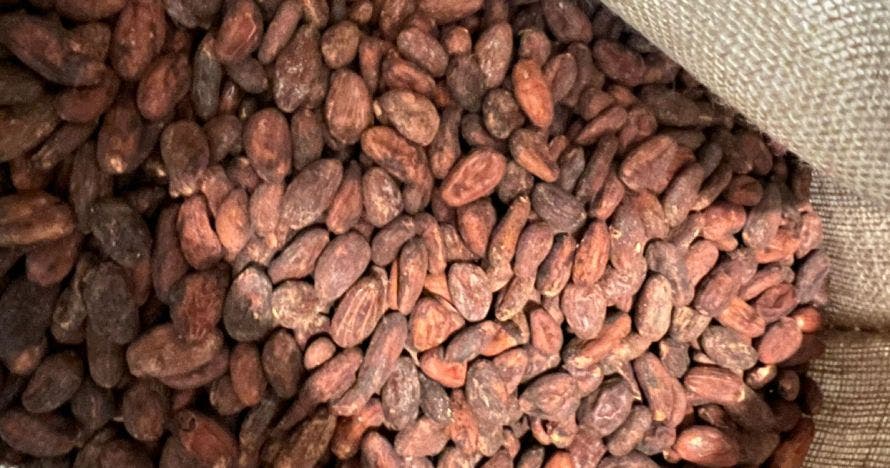 Taller de elaboración de chocolate en Gracia