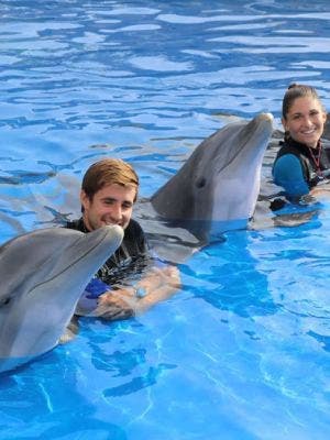 Entrada para Marineland