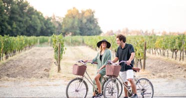 Tour en bicicleta tradicional por el viedo - Via Cousio Macul