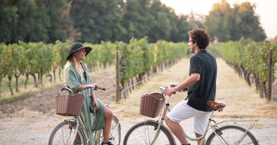 Tour en bicicleta tradicional por el viñedo - Viña Cousiño Macul