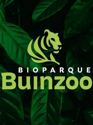 Bioparque Buinzoo