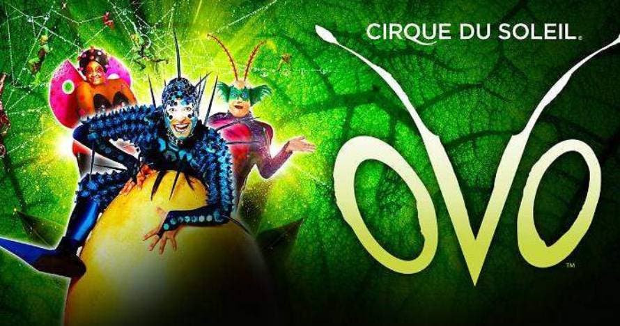 Ovo - Cirque du soleil