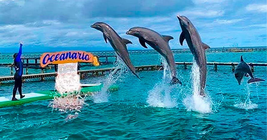 Tour completo a Islas del Rosario y Playa Blanca Barú con Almuerzo