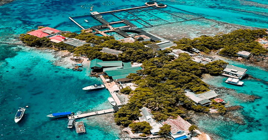 Tour completo a Islas del Rosario y Playa Blanca Barú con Almuerzo