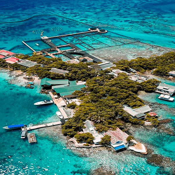 Tour completo a Islas del Rosario y Playa Blanca Barú con Almuerzo