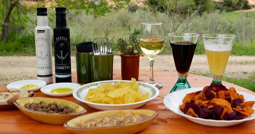 Visita a la almazara con cata de aceites y aperitivo entre olivos