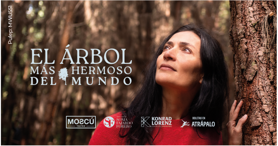 El Árbol Más Hermoso del Mundo
