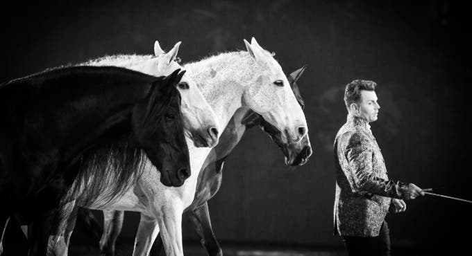 European Equestrian Show