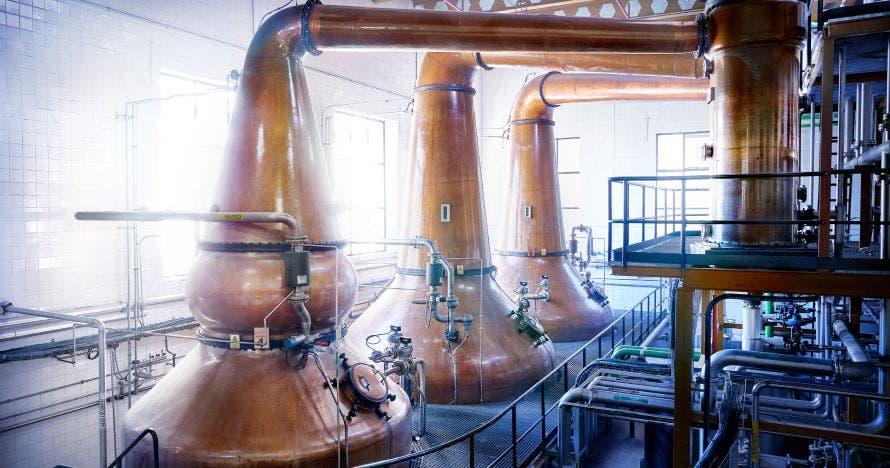 Experiencia DYC: visita a la destilería y cata comentada