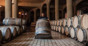 Tour Via Haras de Pirque Am o Pm