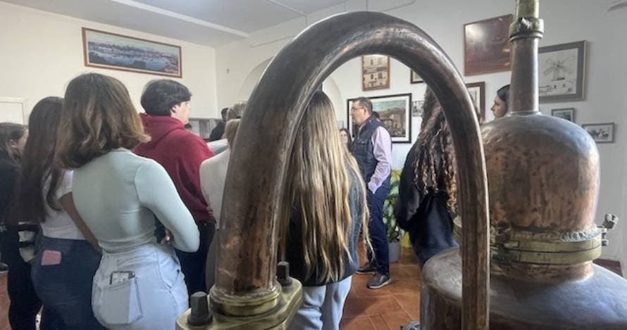 Destilerías Xoriguer. Visita guiada con degustación del producto local