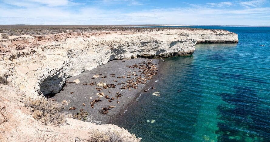 Loberia de Punta Loma