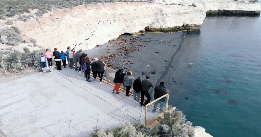 Loberia de Punta Loma