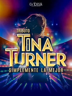 Tina Turner - Simplemente la mejor