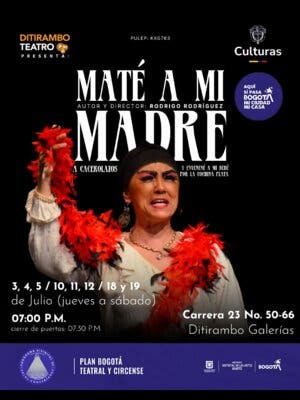 Maté a mi madre a cacerolazos y envenené a mi bebé por cochina plata