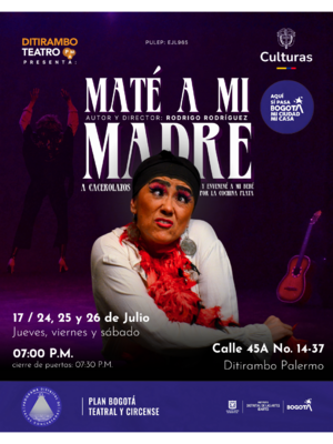Maté a mi madre a cacerolazos y envenené a mi bebé por cochina plata