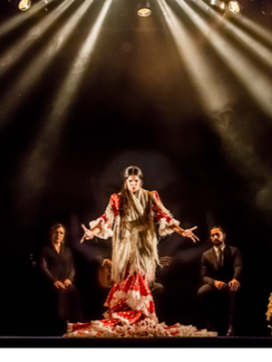 Clases de Flamenco para amantes del arte en Teatro Flamenco Madrid