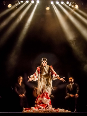 Clases de Flamenco para amantes del arte en Teatro Flamenco Sevilla
