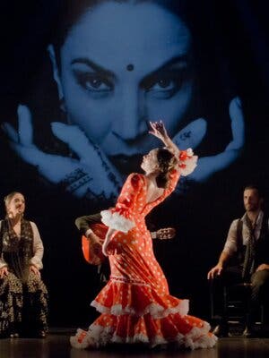 Clases de Flamenco para amantes del arte en Teatro Flamenco Granada