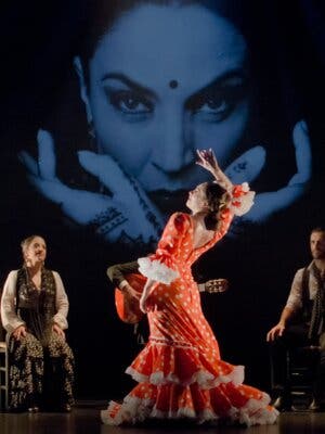 Clases de Flamenco para amantes del arte en Teatro Flamenco Barcelona