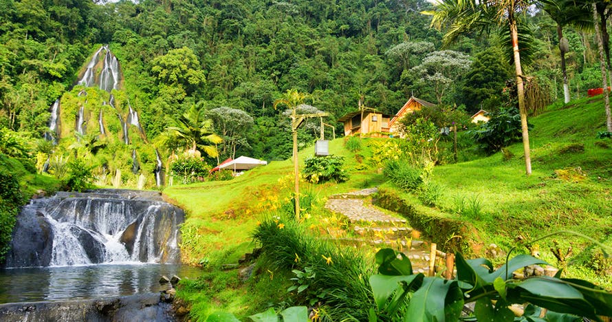 Escapada al Eje Cafetero: Café, Naturaleza y Tradición