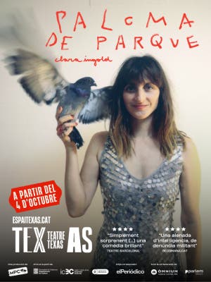 Paloma de parque - Clara Ingold