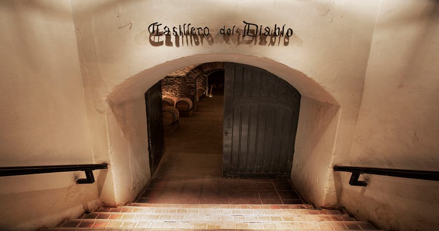 Experiencia Nocturna Casillero del Diablo