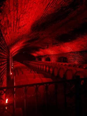 Experiencia Nocturna Casillero del Diablo