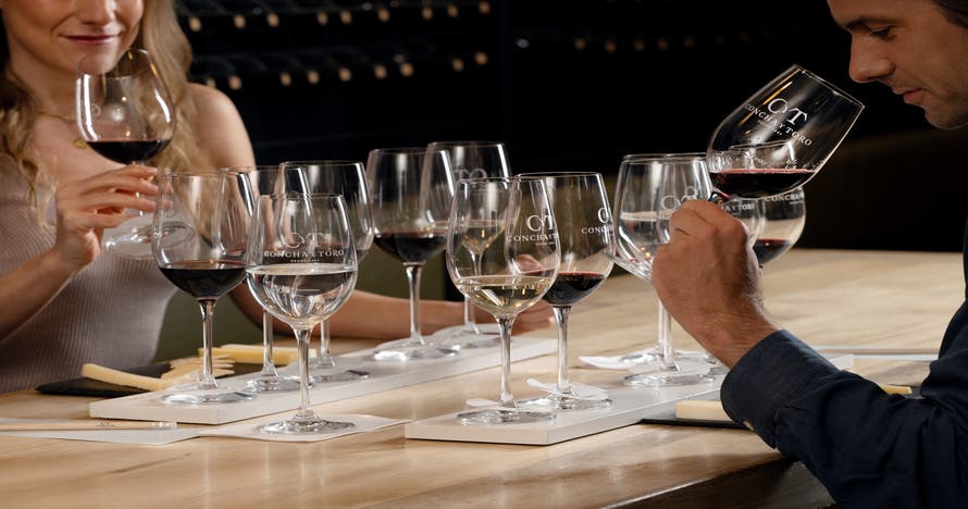 Experiencia Cellar Collection