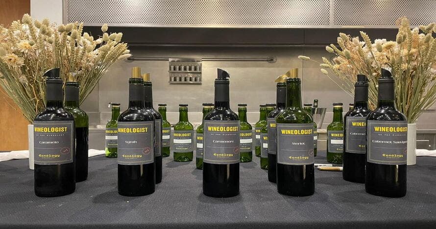 Wineologist – Crea tu Blend