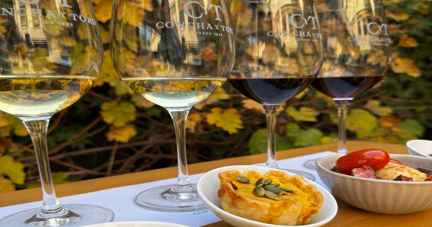 Match: Comida y Vino
