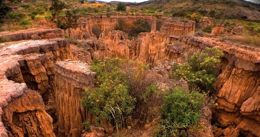 Tour al desierto de Checua