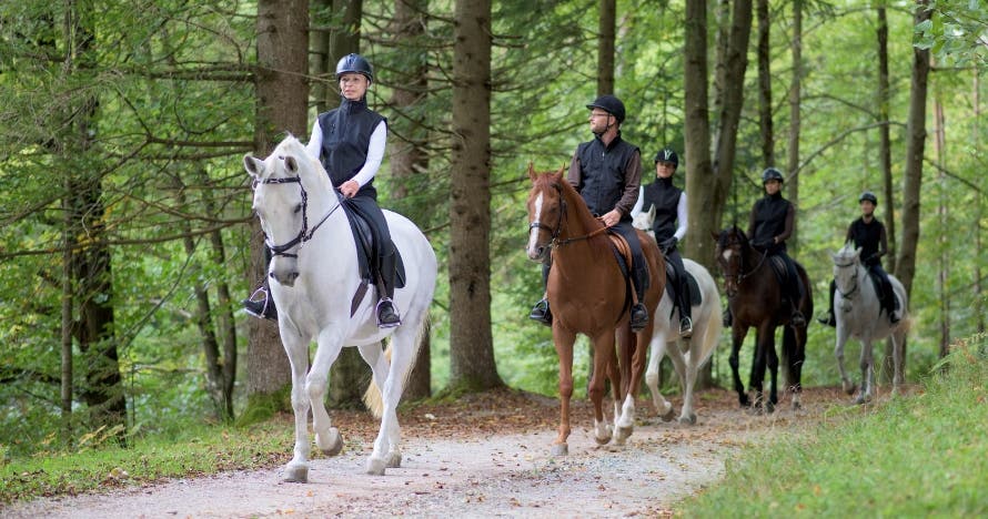 Rutas a Caballo en Club Deportivo Caballeros del Alarde